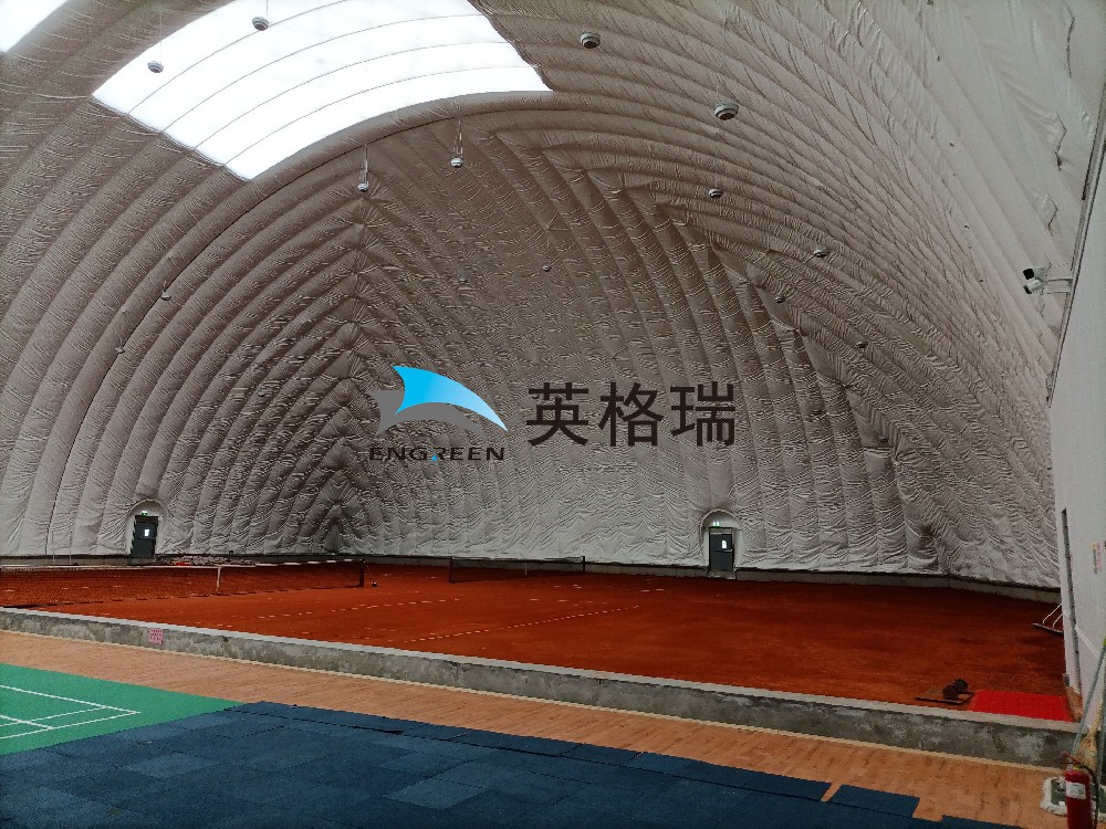 探索充大菠萝视频网址APP球馆的经济性和实用价值