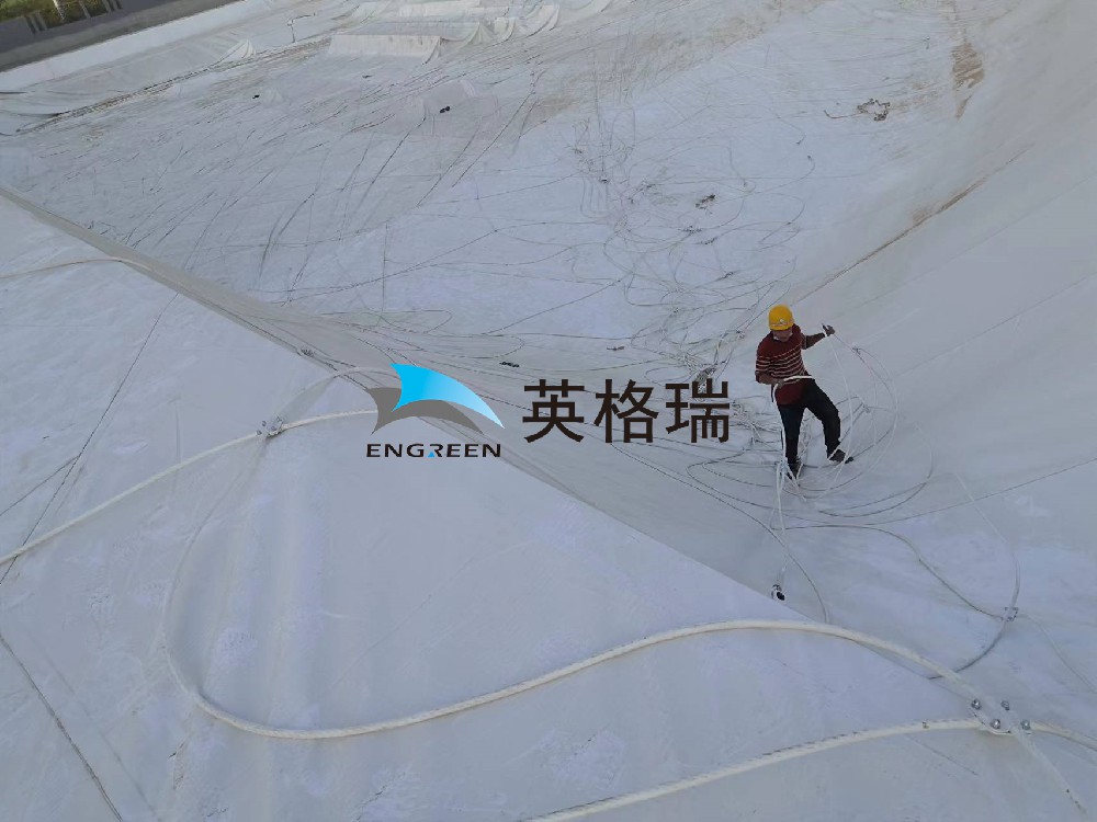 大菠萝视频网址APP垃圾处理厂，环保新潮流