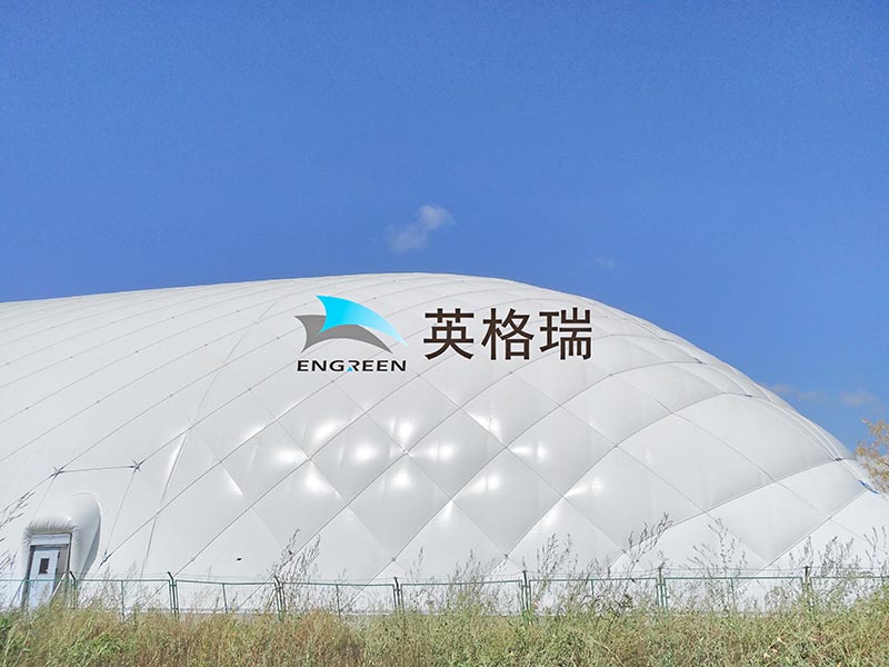 大风中的大菠萝视频网址APP馆：实力见证安全与稳定