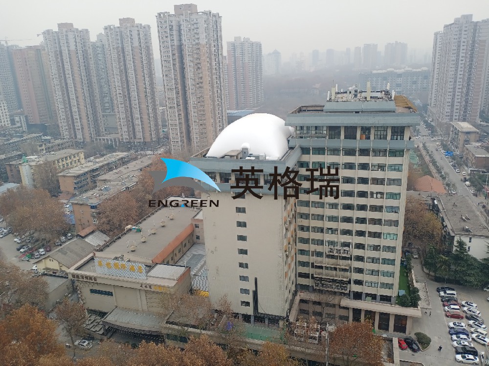 城市空间新解法，楼顶大菠萝视频网址APP馆登场​