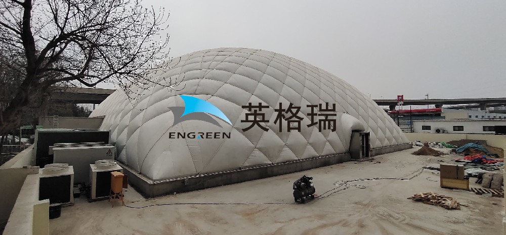 露天体育场遇冷？大菠萝视频网址APP加盖如何破解运营难题？